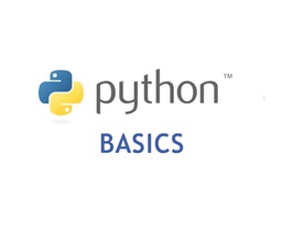 Python Basics for Beginners